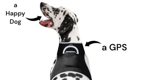 Mini Waterproof Dog Collar GPS Tracking Device Portable Pet Finder NEW Size:S