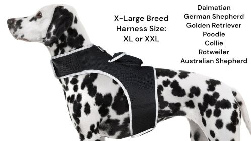 Minimize Pet Lost Cases w/ Pet Tracker Collar GPS Tracking Device for Pets Size:S