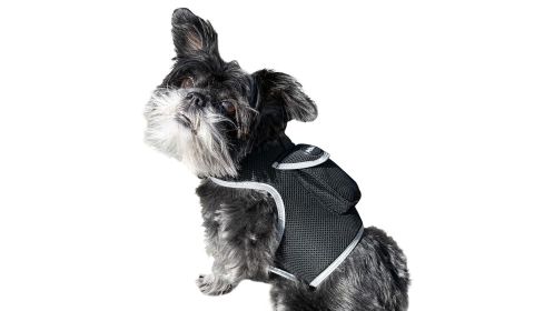 Realtime Satellite Pet Tracker Waterproof GSM GPS Collar Mini Locator Size:S