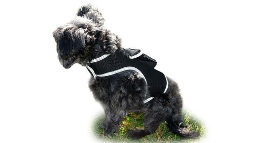 Mini Pet Tracking Collar Wireless Surveillance Security for Cats Dogs Size:XS
