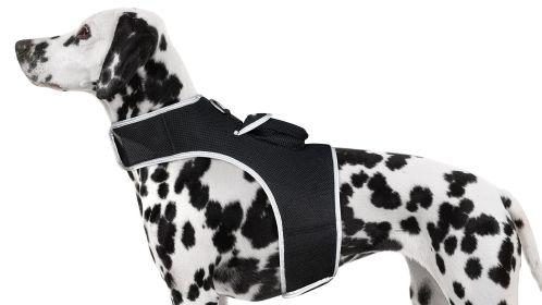 Pocket Waterproof Collar Mount GSM Puppy GPS Realtime Tracking Device Size:L