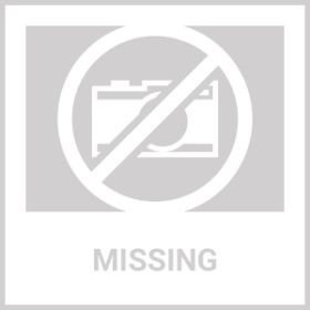 Dog Sticks Wrapped with Chicken & Pet Natural Chew Treats Grain Free Organic Meat & Human Grade Dried Snacks in Bulk for Training Small & Large D (Option: Beloved Pets)